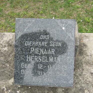 Eastern Cape, HUMANSDORP district, Misgunst 239_3, Modderdrif farm cemetery