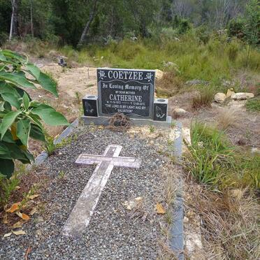 COETZEE Catherine 1972-2015