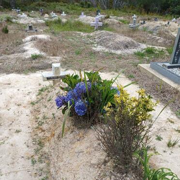 W? Wilhelmina 1914-?