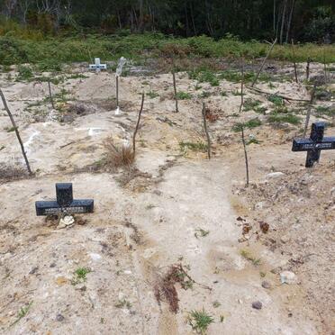 BRIESIES Harold P. 1949-2025 :: WILDEMAN Leslie J. 1962-?