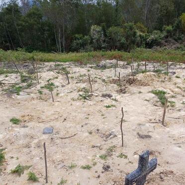 MONGO Raymond 1965-?