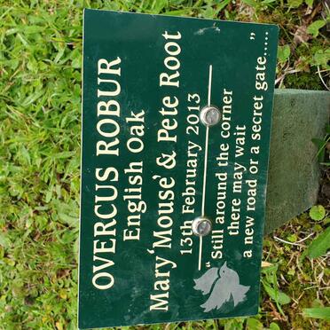 ROOT Pete &amp; Mary