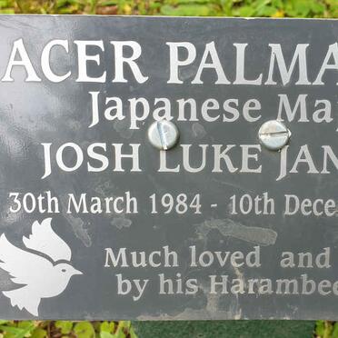 JANSEN Josh Luke 1984-2017