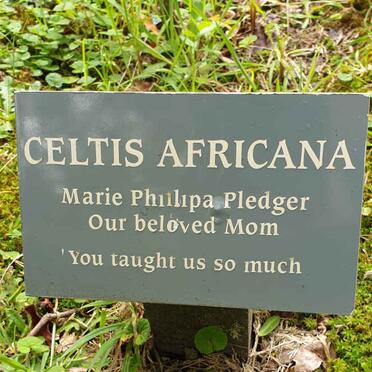 PLEDGER Maria Phillipa