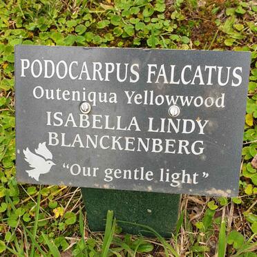 BLANCKENBERG Isabella Lindy