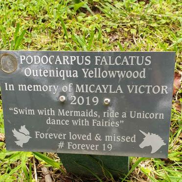 VICTOR Micayla -2019