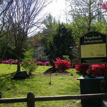 1. Overview / Oorsig