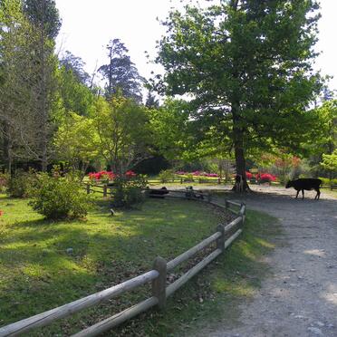 Eastern Cape, HOGSBACK, Arboretum, memorial plaques