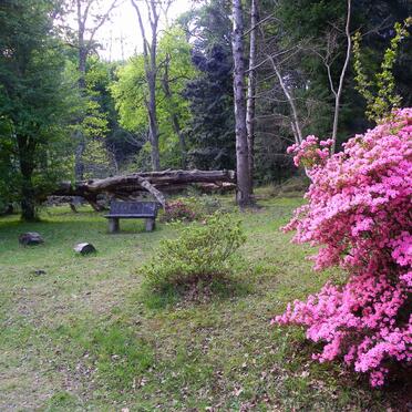 4.  Overview / Oorsig