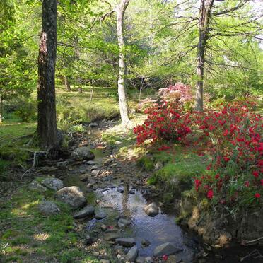 Eastern Cape, HOGSBACK, Urban area