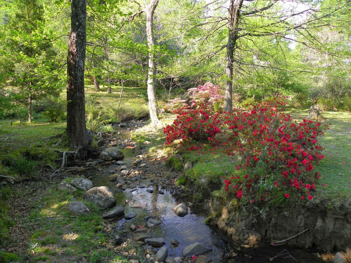 3. Overview / Oorsig