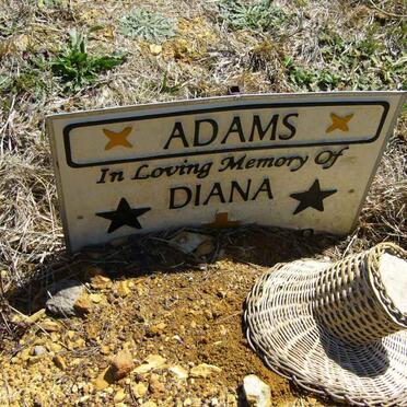 ADAMS Diana