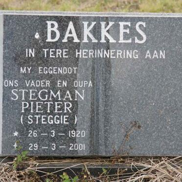 BAKKES Stegman Pieter 1920-2001