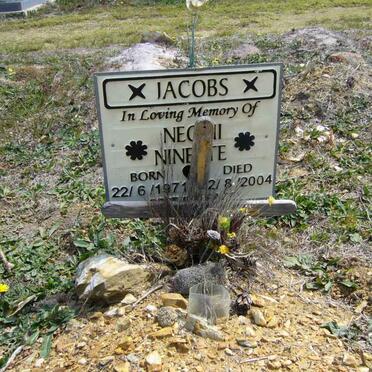 JACOBS N.N. 1971-2004