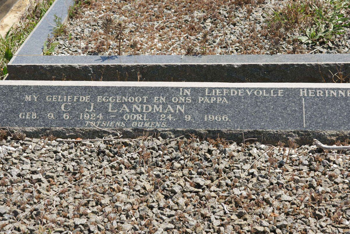 LANDMAN C.J. 1924-1966