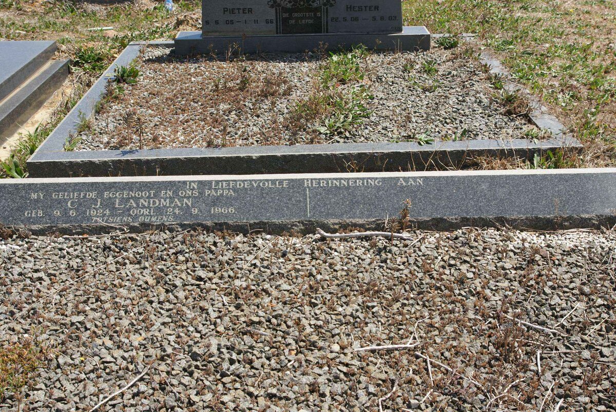 LANDMAN C.J. 1924-1966