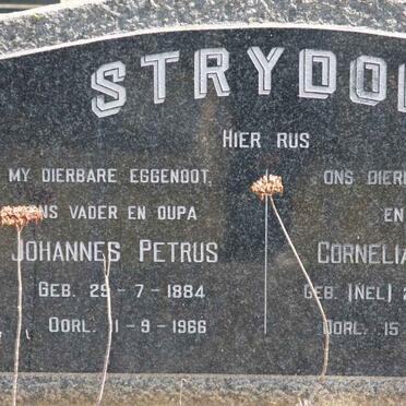 STRYDOM Johannes Petrus 1884-1966 &amp; Cornelia Johanna NEL 1888-1969