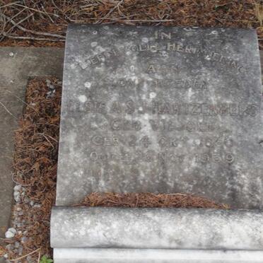 HARTZENBERG Elsie A.S. nee VILJOEN 1860-1939