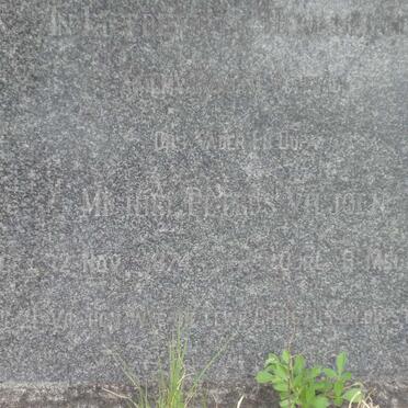 VILJOEN Michiel Petrus 1874-1949