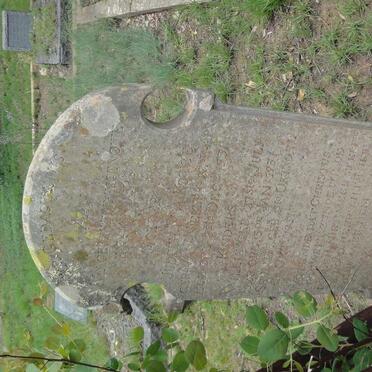 KOTZE Judith M.A. nee VAN NIEKERK 1902-1931 :: KOTZE Willie 1928-1931 :: KOTZE Seuntjie 1931-1931