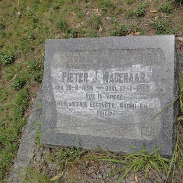 WAGENAAR Pieter J. 1896-1926