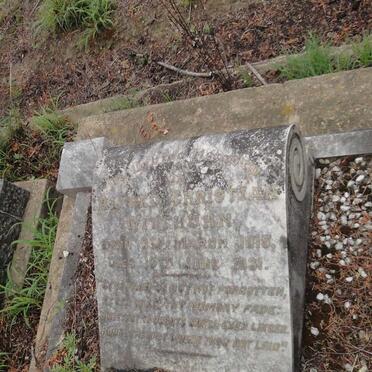 WITTHUHM Alfred Christian 1915-1931