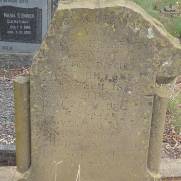 HATTINGH Johann David 1839-1904