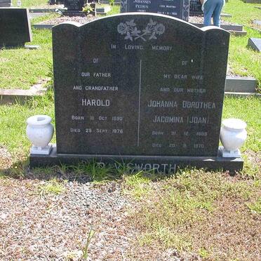 DAVISWORTH Harold 1890-1976 &amp; Johanna Dorothea Jacomina 1888-1970