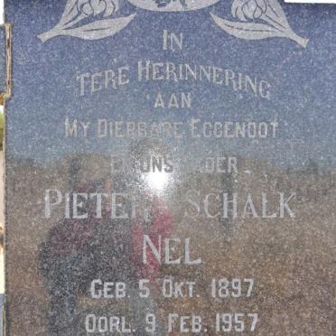 NEL Pieter Schalk 1897-1957