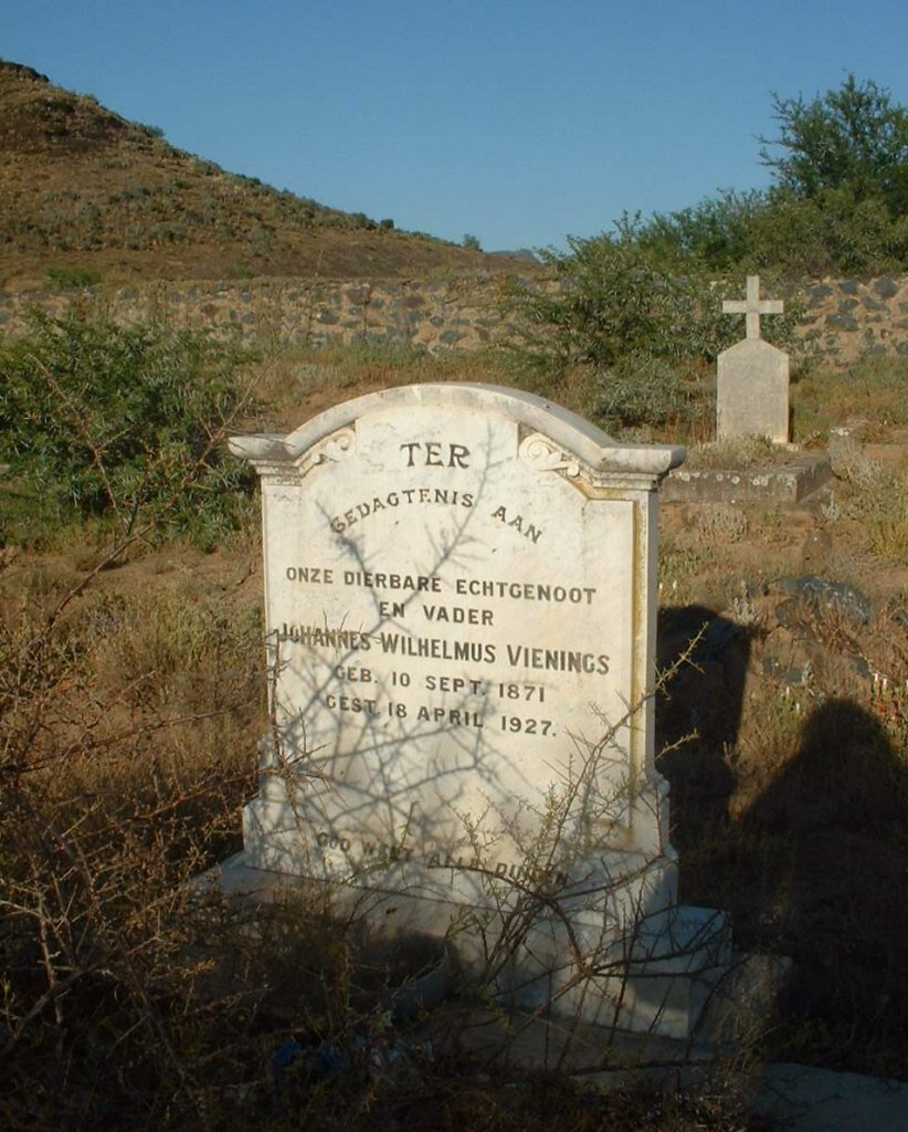 VIENINGS Johannes Wilhelmus 1871-1927