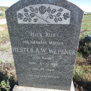 WEPENER Hester A.W. nee NAUDE 1856-1952