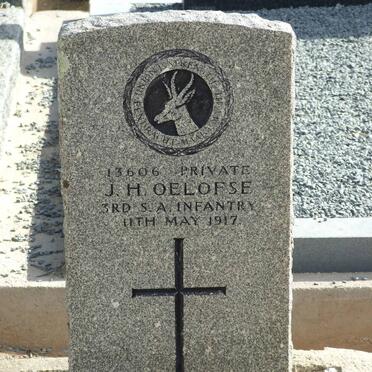 OELOFSE J. H. -1917