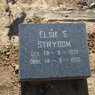 STRYDOM Elsie S. 1870-1955