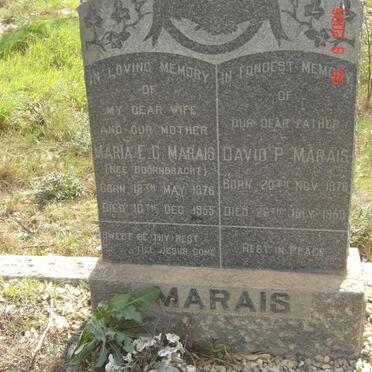 MARAIS David P. 1876-1959 &amp; Maria E.G. DOORNBRACHT 1876-1955