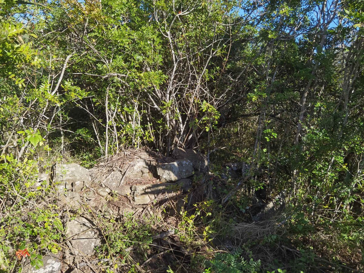 4. Overview / Oorsig