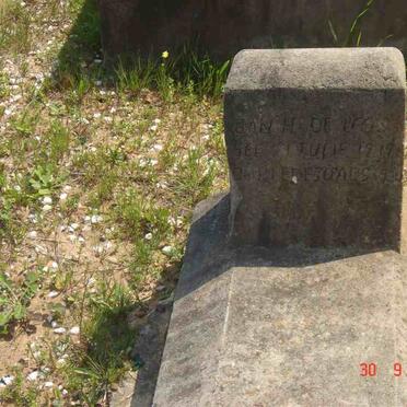 V - Vanne :: Surnames - V