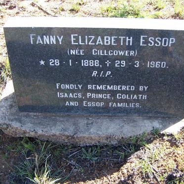 ESSOP Fanny Elizabeth nee GILLGOWER 1888-1960