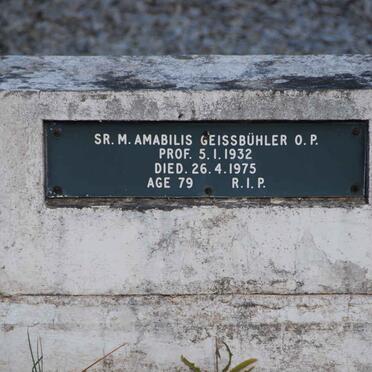 GEISSBÜHLER Amabilis -1975