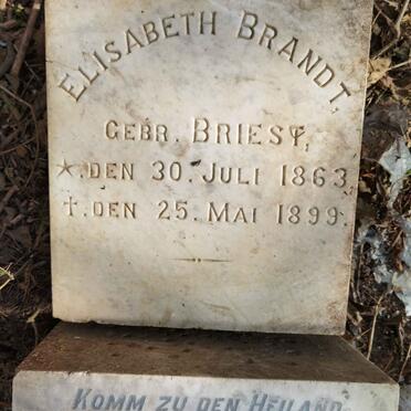 BRANDT Elisabeth nee BRIEST 1863-1899