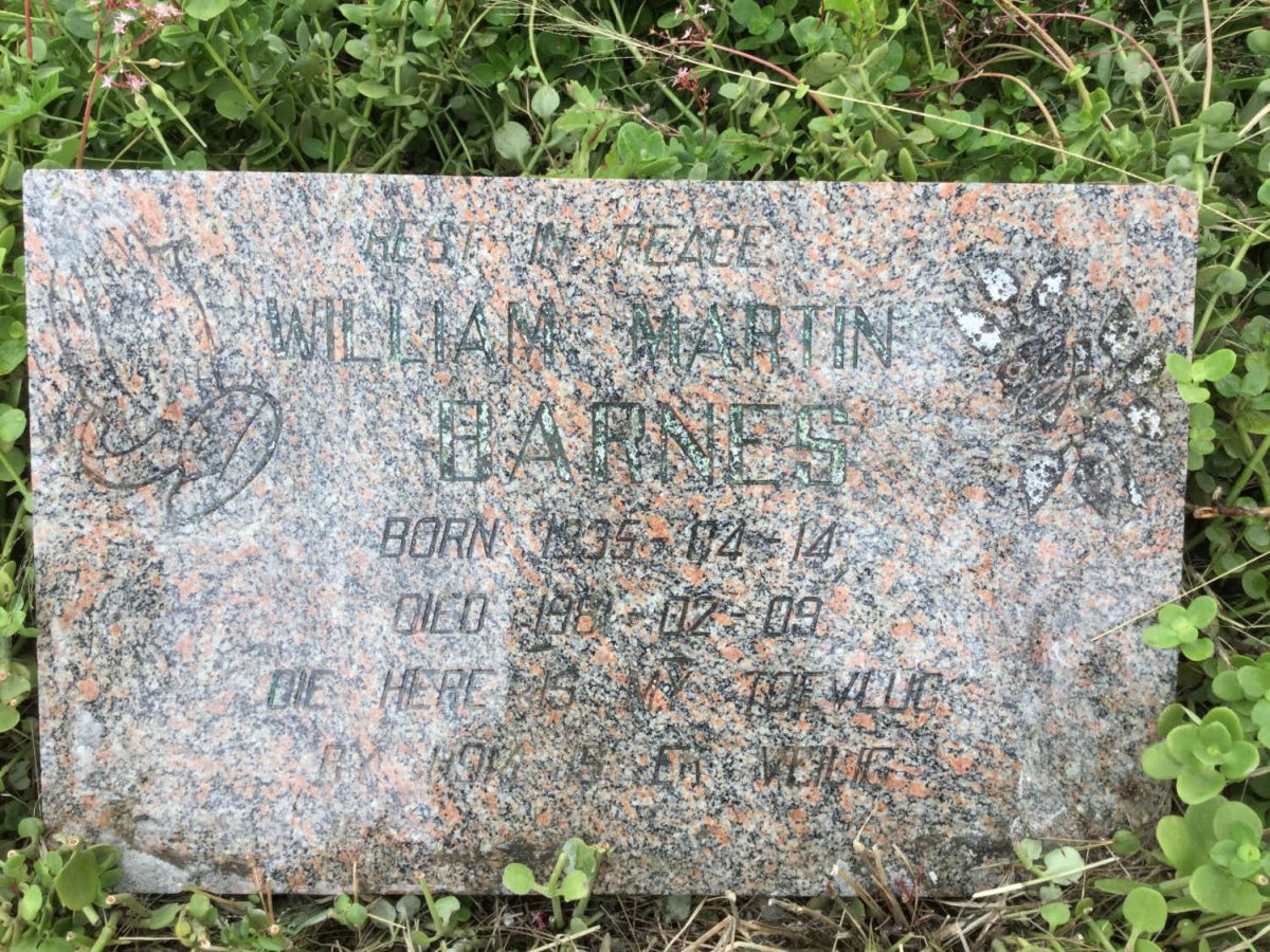 BARNES William Martin 1935-1981