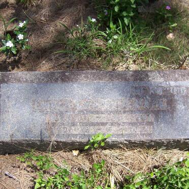 P - Vanne :: Surnames - P