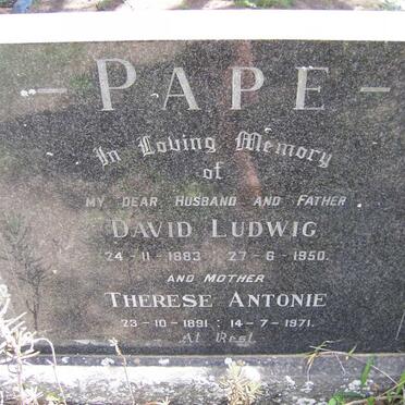 PAPE David Ludwig 1883-1950 &amp; Therese Antonie 1891-1971