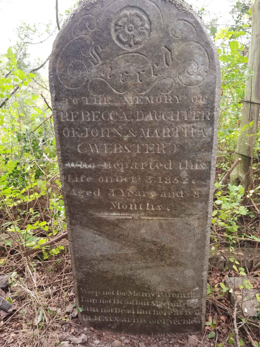 WEBSTER Rebecca -1852