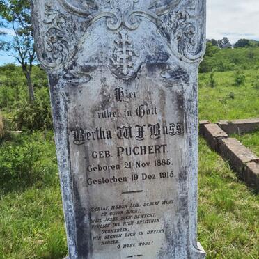 BUSS Bertha W.F. nee PUCHERT 1885-1915