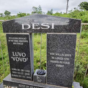 DESI Luvo 1989-2018