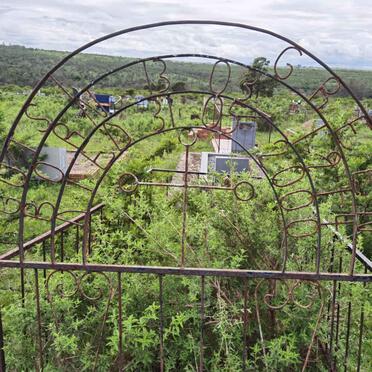 GREEN Gutsi 1974-2000