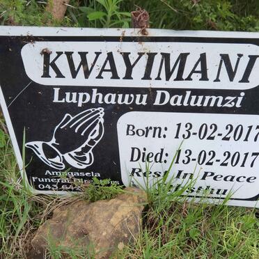 KWAYIMANI Luphawu Dalumzi 2017-2017