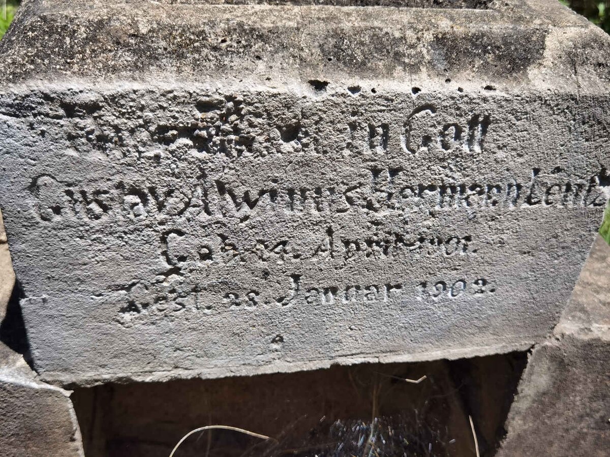 LENTZ Gustav A? Hermann 1901-1902