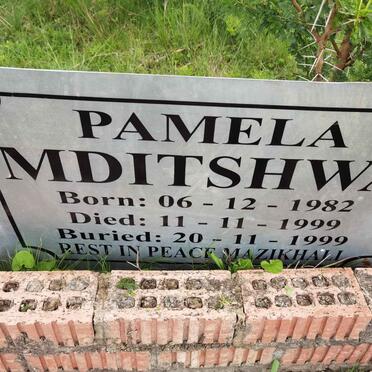 MDITSHWA Pamela 1982-1999