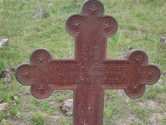 SCHWARZ Wilhelm 1866-1867